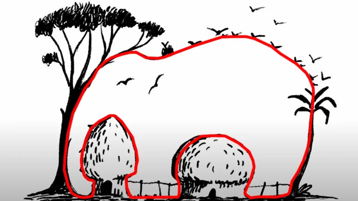 Solusi untuk ilusi optik