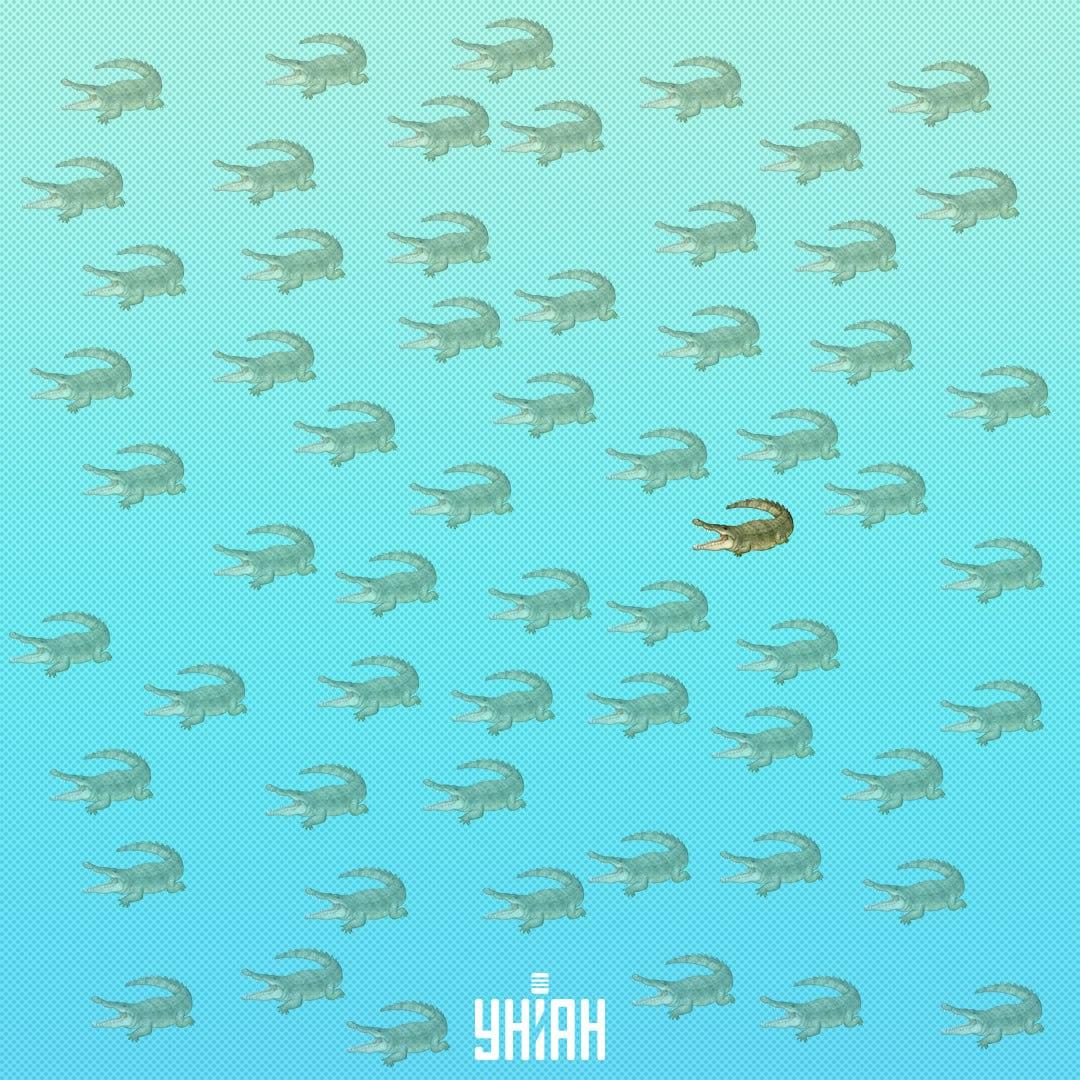 Seharusnya ba itu ditemukan lebih dekat ke tengah, di sisi kanan / Moje Collage