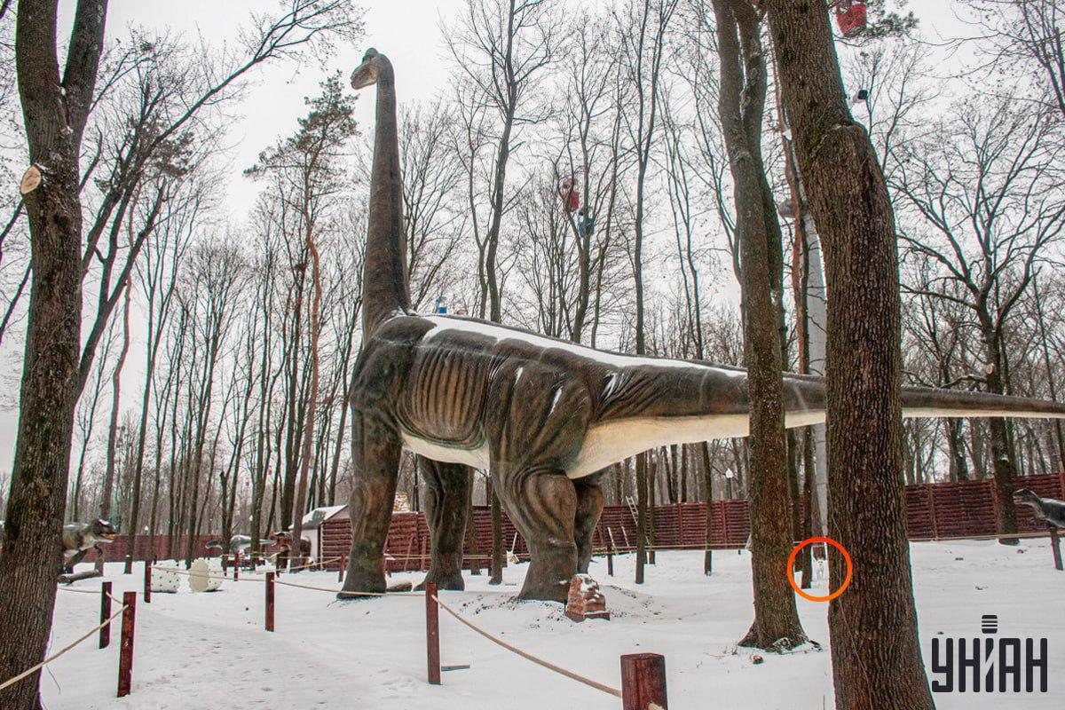 Anjing itu berada di dekat sudut kiri bawah gambar / kolase Moje