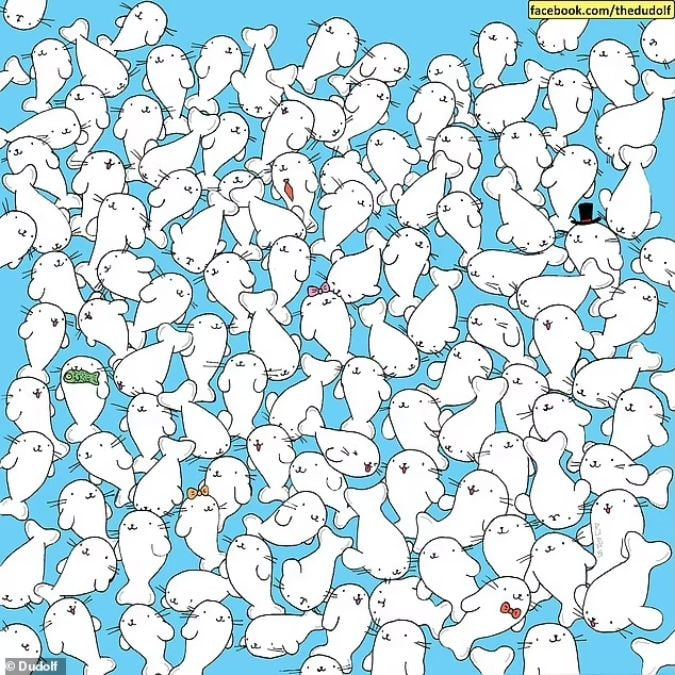 Teka-teki untuk orang dengan penglihatan tajam: temukan marshmallow di antara segel dalam 11 detik