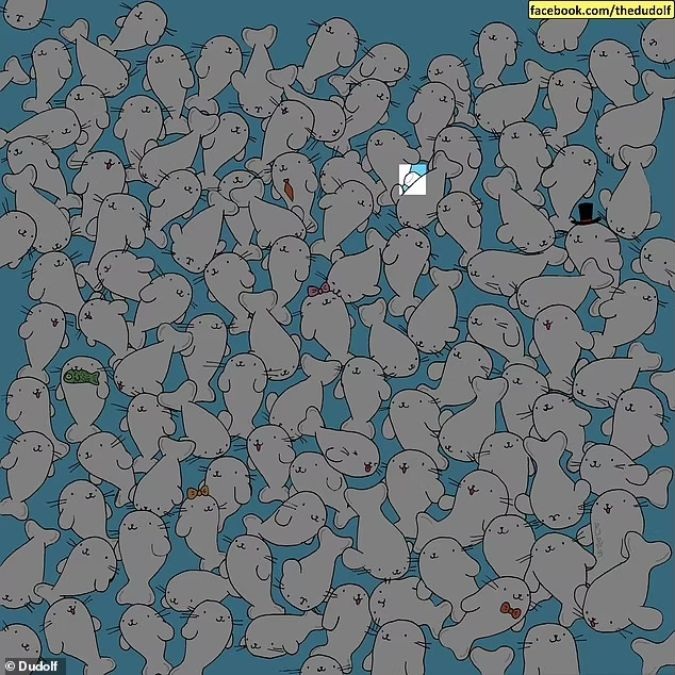 Teka-teki untuk orang-orang dengan penglihatan tajam: temukan marshmallow di antara anjing laut dalam 11 detik